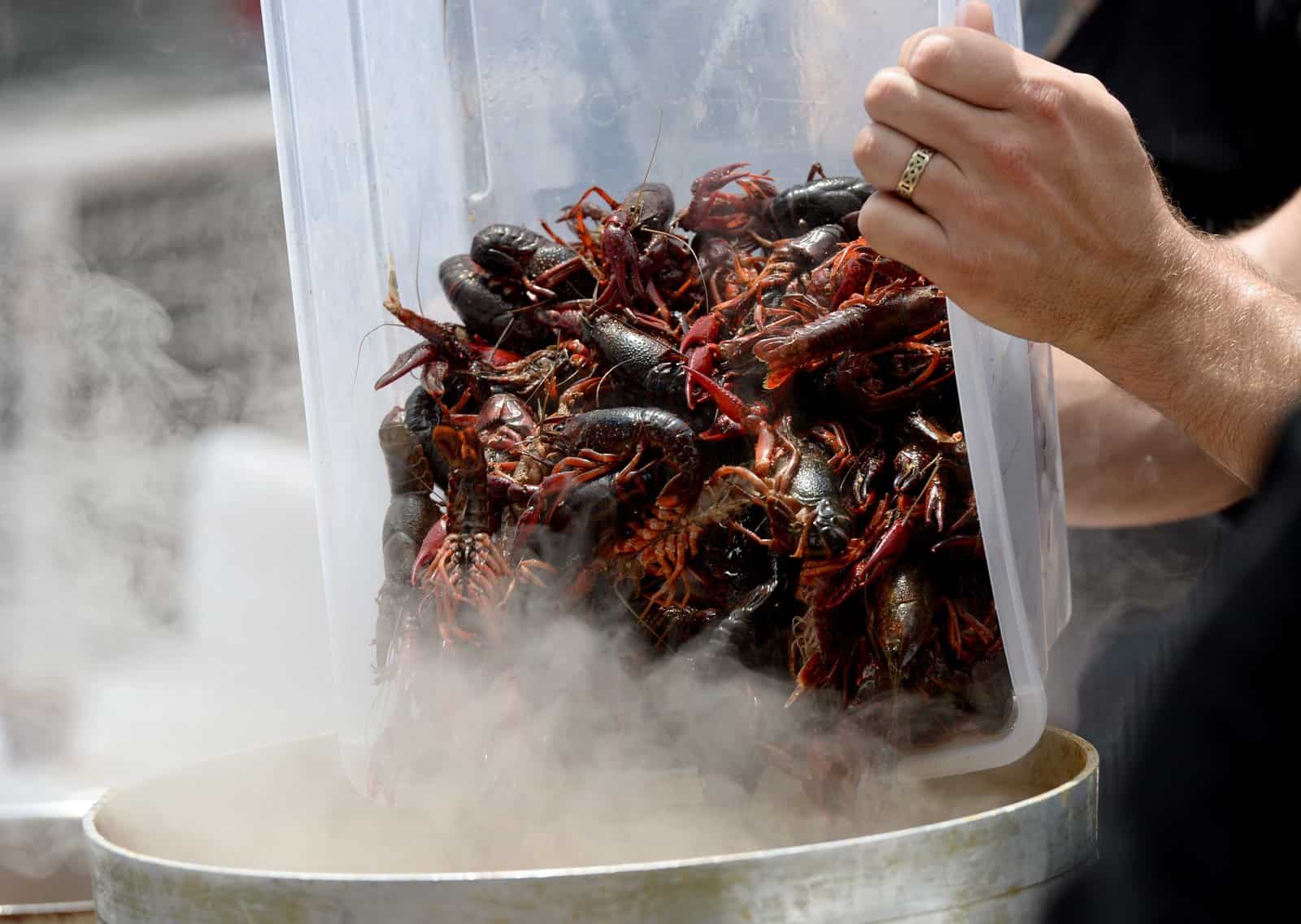 Где заказать раков с доставкой: обзор лучших сервисов 2025 года - 5