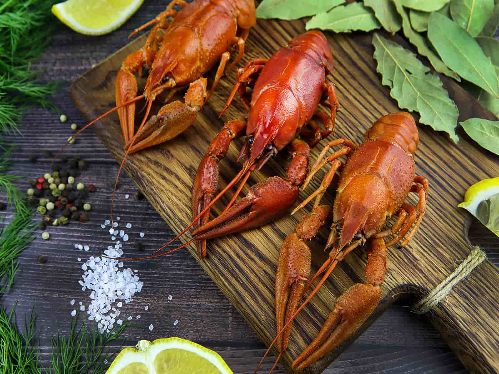 Как правильно выбрать свежих раков: признаки качества и полезные советы - 5